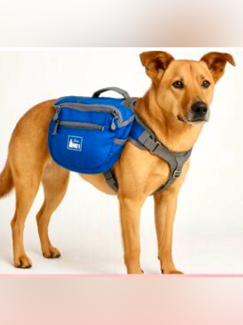 REI Dog Adventure Backpack Hiking Paniards NWOT Blue Gray Zippers Adjustable